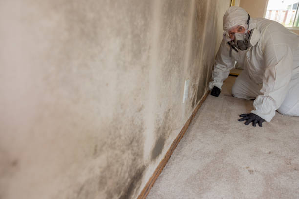 Best Indoor Air Quality Assessment  in Roberta, GA