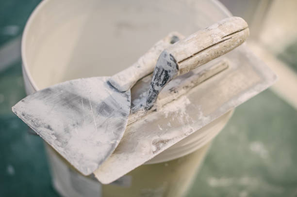 Best Emergency Mold Remediation  in Roberta, GA