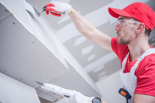 Best Attic Mold Removal  in Roberta, GA