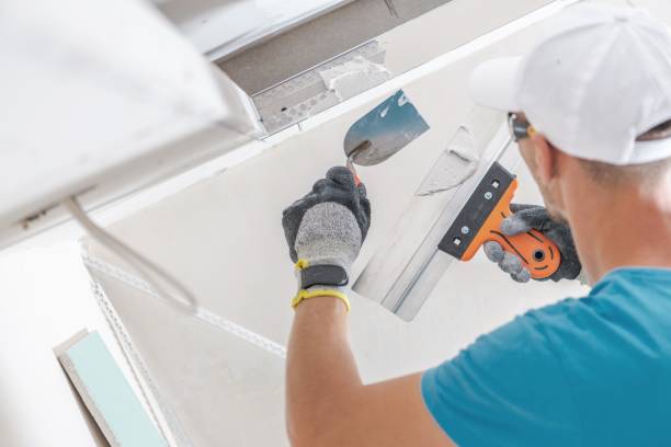 Best Mold Removal for HVAC Installations  in Roberta, GA